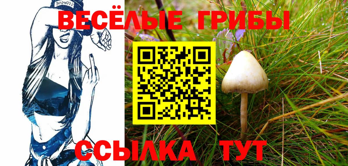 Галлюциногенные грибы Cubensis  Вход с VPN  купить закладку  Новодвинск  Псилоцибиновые грибы Cubensis 