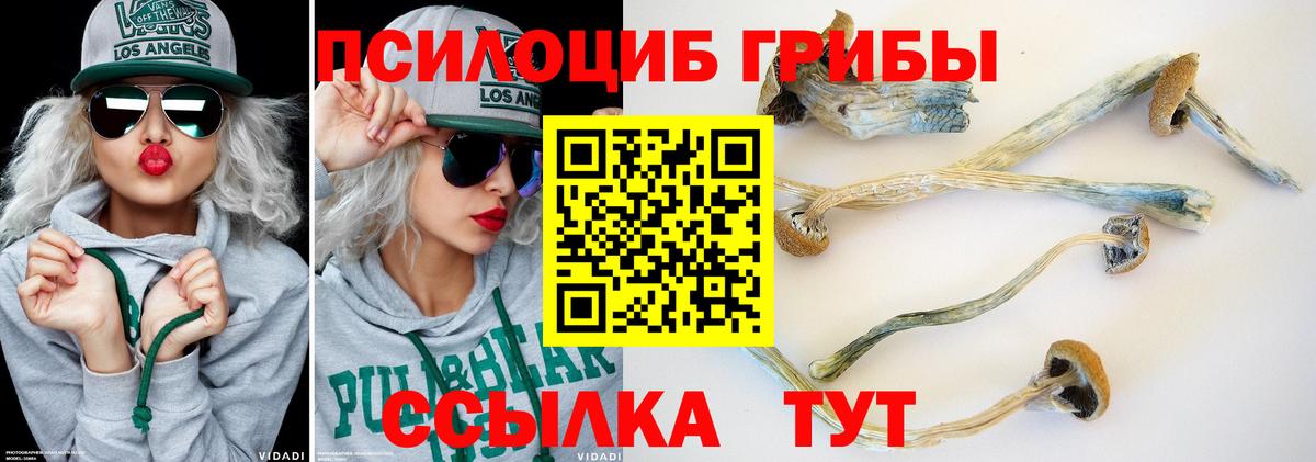 Псилоцибиновые грибы Cubensis Новодвинск